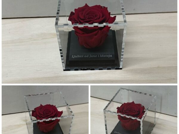 izdelek brez naslova